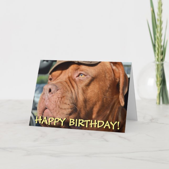 Cuidada tarjeta de cumpleaños del dogue de bordeau (Anverso)