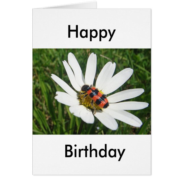 Cuidada tarjeta de felicitación de cumpleaños cris (Frente)