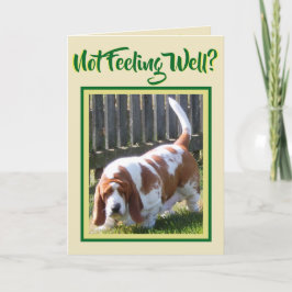 Cuidado "Basset Hound" Con Daisy En La Tarjeta "Ge