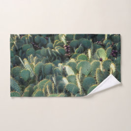 ¡Cuidado - cactus espinosos!