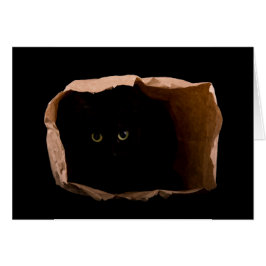 ¡Cuidado con el gato atacante!