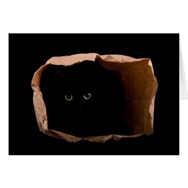 ¡Cuidado con el gato atacante! (Anverso (Horizontal))