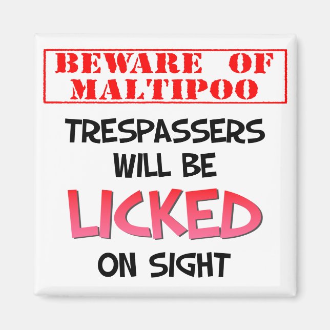Cuidado con el imán de Licking Maltipoo (blanco) (Frente)