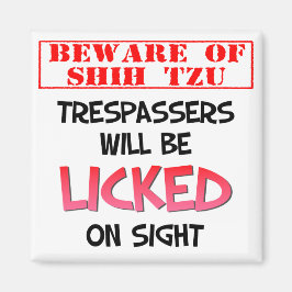 Cuidado con Shih Tzu (blanco) imán cuadrado de 2 p