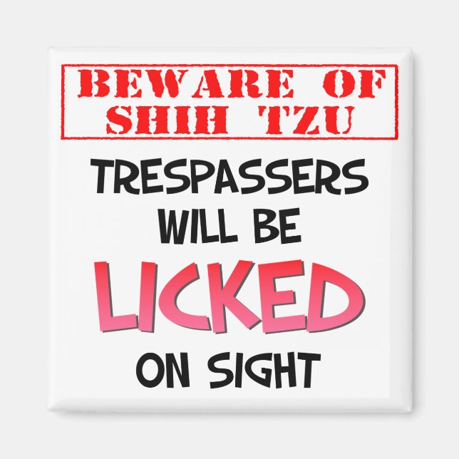 Cuidado con Shih Tzu (blanco) imán cuadrado de 2 p (Frente)