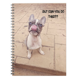 Cuidado cuaderno diario de cachorros de Bulldog fr