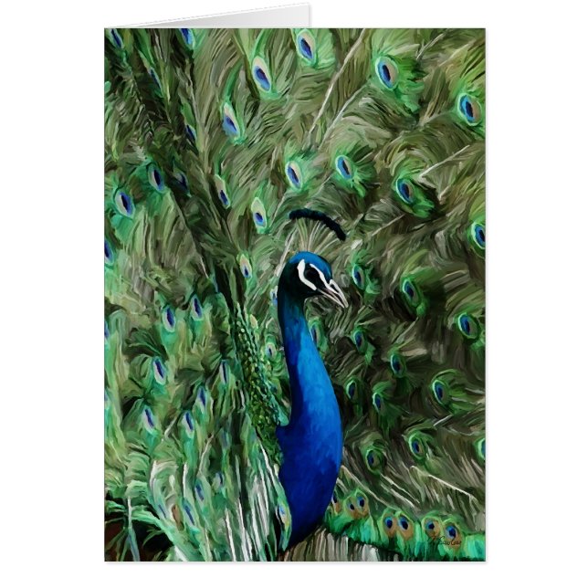 Cuidado de la nota del pavo real (Frente)