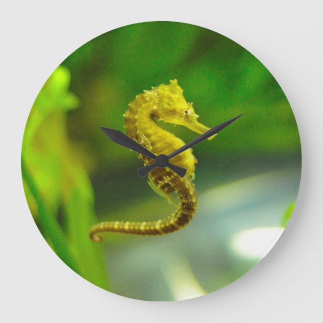 Cuidado reloj de vida en el océano de los caballos (Anverso)