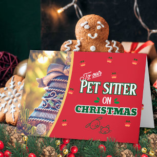 Cuidador de mascotas en Navidad Paws Cat y perro H