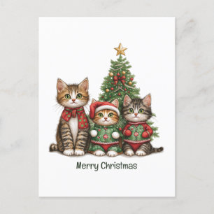 Cuidados Cats de Navidad