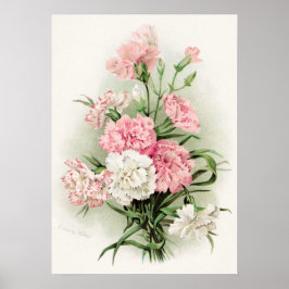 Cuidados claveles vintage decoración en casa poste