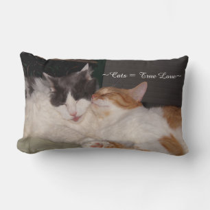Cuidados gatos durmiendo Almohada de amor verdader
