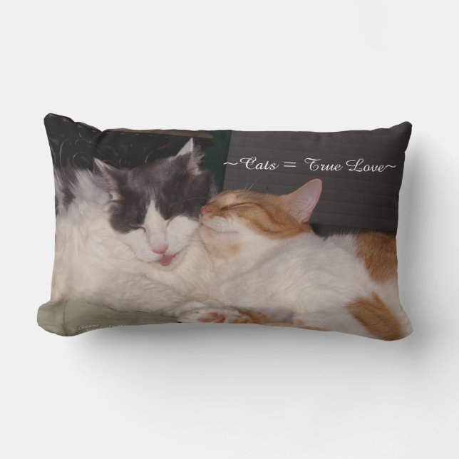 Cuidados gatos durmiendo Almohada de amor verdader (Anverso)