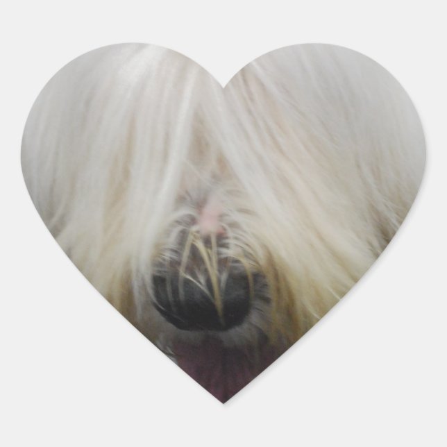 Cuidados Pegatinas de Sheepdog ingleses (Anverso)