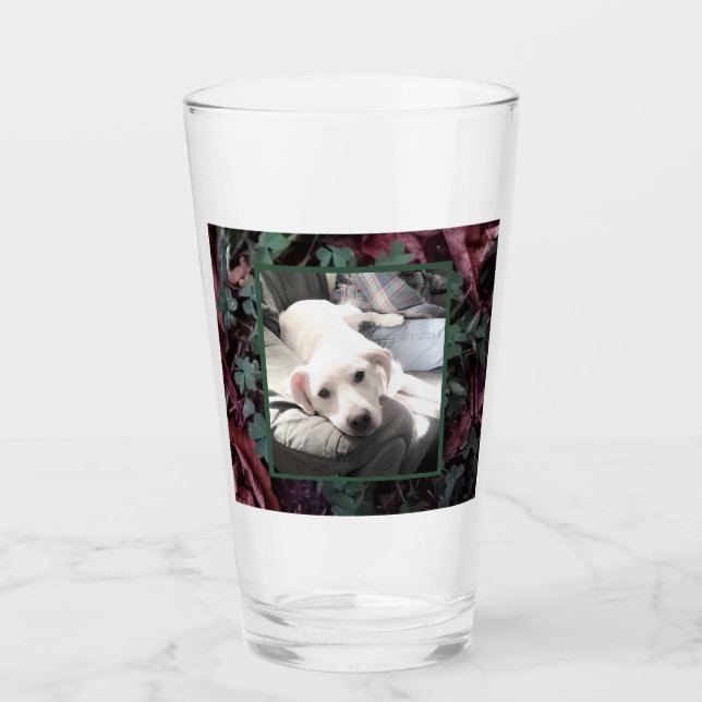 Cuidados rocas de perro de cachorro blanco y verde (Anverso)