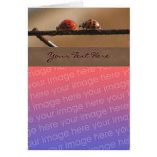 Cuidar la naturaleza del par de parásitos de liga 