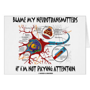 Culpe mis neurotransmisores si no que prestan la