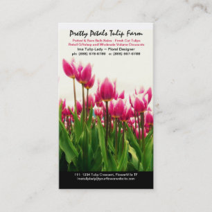 Cultivador del tulipán o tarjeta de visita floral
