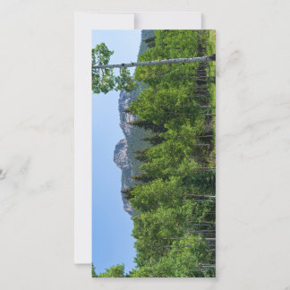 cumbre de espinas sobre bosques en la puerta de or