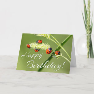 ¡Cumpleaños afortunado con 5 niñitos! Tarjeta
