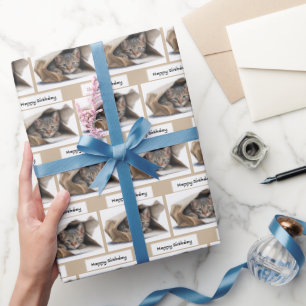 Cumpleaños de gato tabby en bolsa de papel