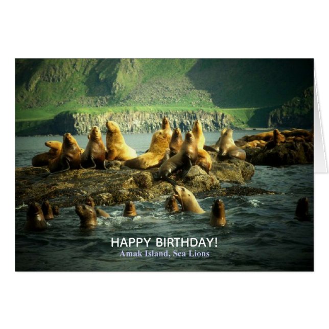 Cumpleaños de los Leones Marinos de la Isla Amak (Anverso (Horizontal))