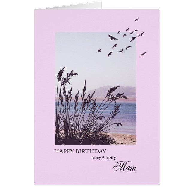 Cumpleaños de Mam, escena costera (Frente)