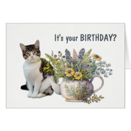 Cumpleaños de Meowy, un gato de Kettle con té flor