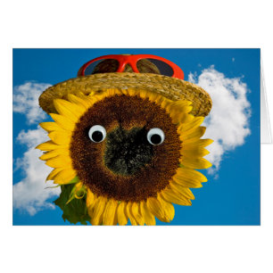 Cumpleaños del Humor Girasol