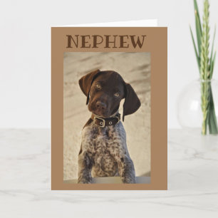 CUMPLEAÑOS DESEA LA TARJETA **NEPHEW***