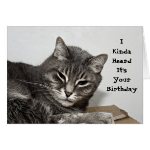 Cumpleaños divertido gris del gato de Tabby