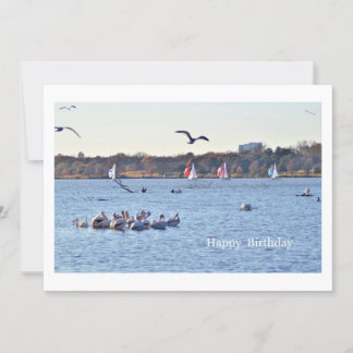 Cumpleaños feliz (Lago Rock Blanco - Dallas)