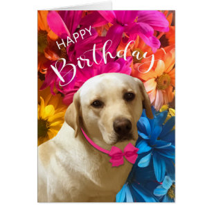 Cumpleaños feliz, Mascota, perro, flor de labrador