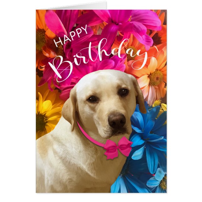 Cumpleaños feliz, Mascota, perro, flor de labrador (Frente)