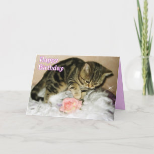 Cumpleaños feliz - Tarjeta de cumpleaños de Tabby