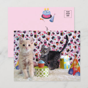 Cumpleaños Feliz - Tarjeta Postal de Gato