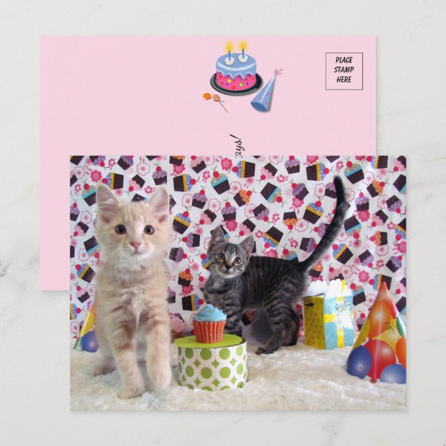 Cumpleaños Feliz - Tarjeta Postal de Gato (Anverso / Reverso)