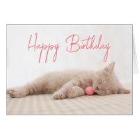 Cumpleaños | Gato de Shorthair británico