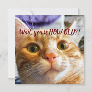 Cumpleaños Gracioso