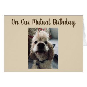CUMPLEAÑOS LES DESEA EL CUMPLEAÑOS MUTUO