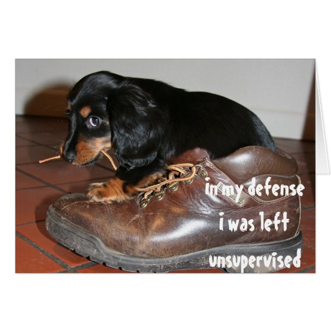 Cumpleaños Mordedor Divertido Perro Cachorro (Anverso (Horizontal))