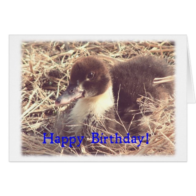 Cumpleaños Muscovy Duckling (Anverso (Horizontal))