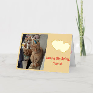 Cumpleaños Nombre Día de los Niños Gatos Pelirrojo