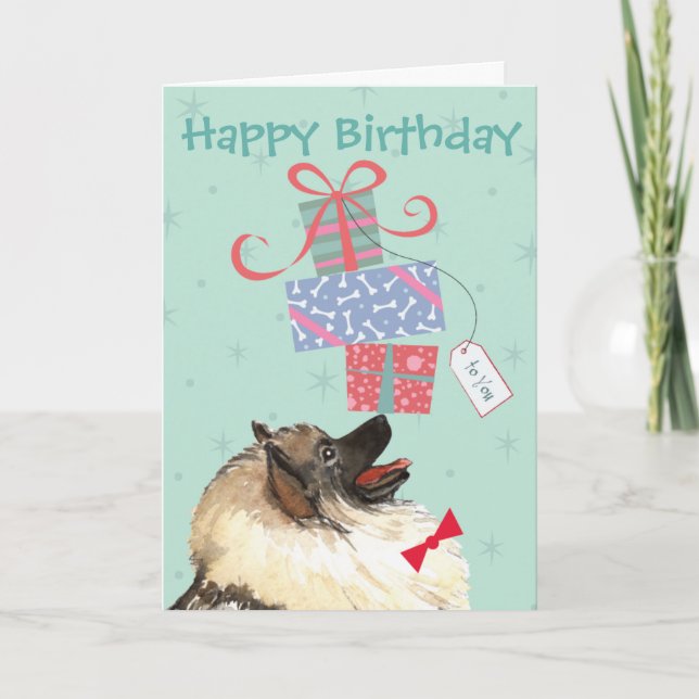 Cumpleaños presenta la tarjeta Keeshond (Anverso)