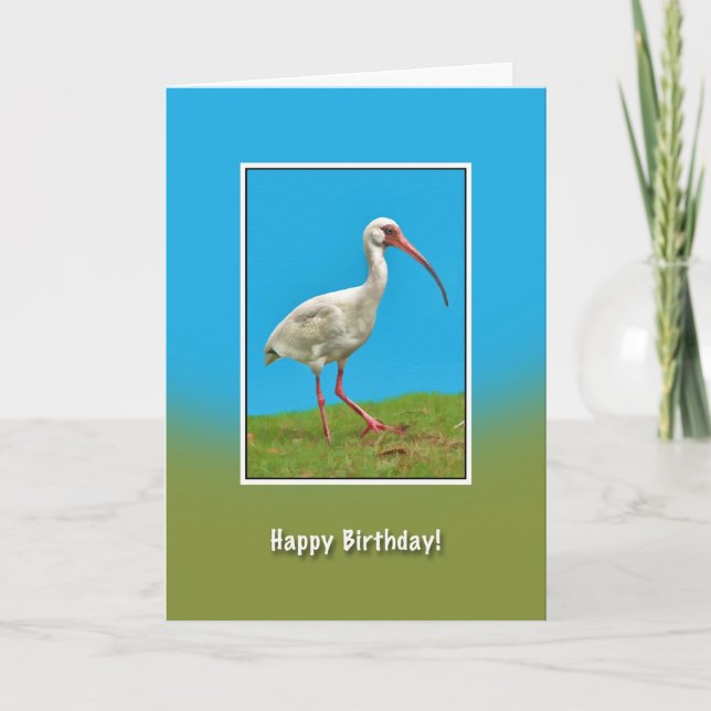 Cumpleaños, tarjeta blanca Ibis Bird (Anverso)