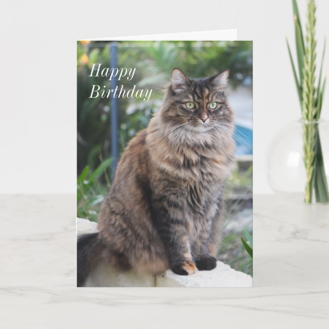 Cumpleaños. Tarjeta con hermosa imagen de gato. (Anverso)