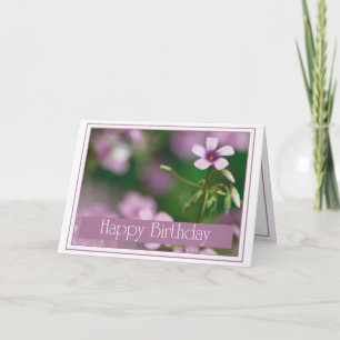Cumpleaños - tarjeta de felicitación rosada del