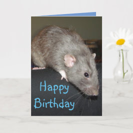 Cumpleaños! Tarjeta de rata azul