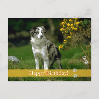 Cumpleaños! - tarjeta postal para perros