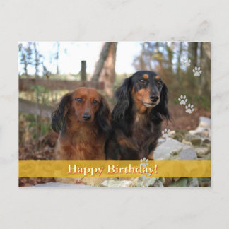 Cumpleaños! - tarjeta postal para perros